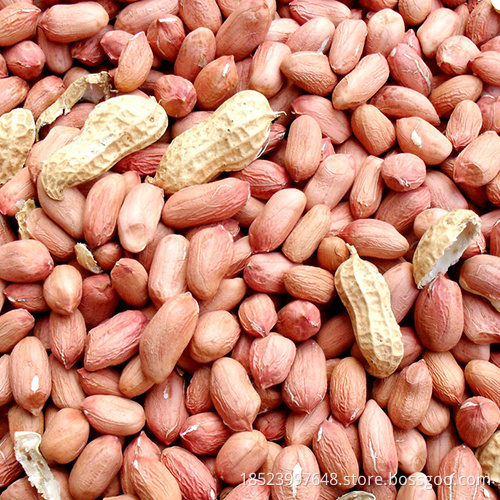 Natural Nutritional Self-produced Tasty Aromatic Peanut